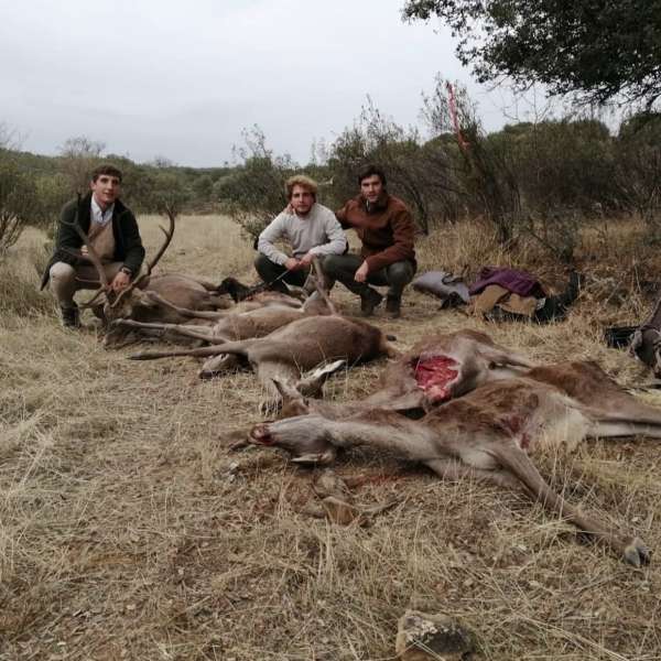 Monter�as - Caza Mayor en Espa�a: Monter�as y Recechos | Nature GV Hunt