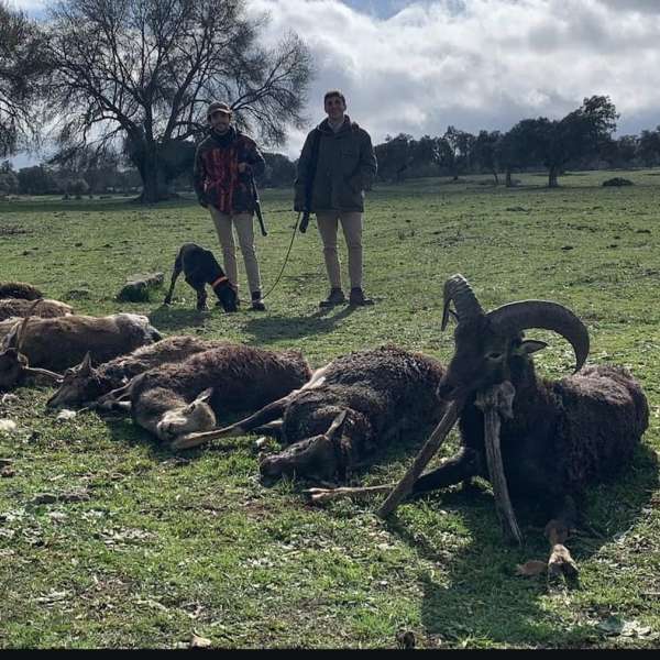 Monter�as - Caza Mayor en Espa�a: Monter�as y Recechos | Nature GV Hunt