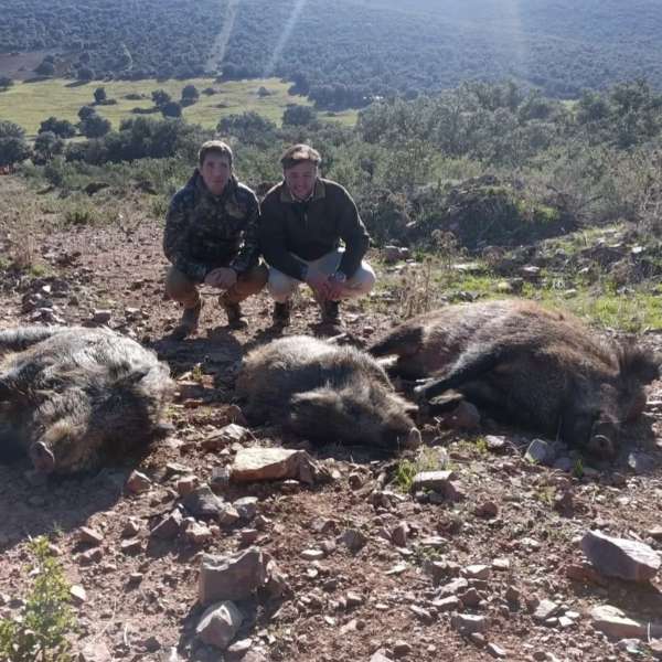 Monter�as - Caza Mayor en Espa�a: Monter�as y Recechos | Nature GV Hunt