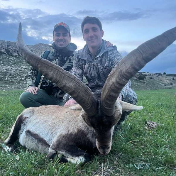 Rececho de Cabra Mont�s�Iberian Ibex Stalking - Caza Mayor en Espa�a: Monter�as y Recechos | Nature GV Hunt�Big Game Hunting in Spain: Hunting and Stalking | Nature GV Hunt