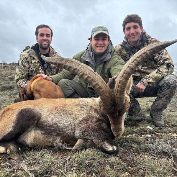 Rececho de Cabra Mont�s�Iberian Ibex Stalking - Caza Mayor en Espa�a: Monter�as y Recechos | Nature GV Hunt�Big Game Hunting in Spain: Hunting and Stalking | Nature GV Hunt