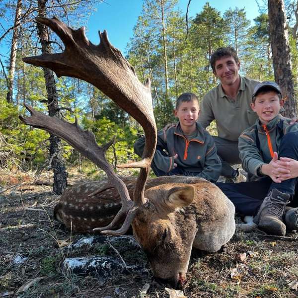 Rececho de Gamo�Fallow Deer Stalking - Caza Mayor en Espa�a: Monter�as y Recechos | Nature GV Hunt�Big Game Hunting in Spain: Hunting and Stalking | Nature GV Hunt
