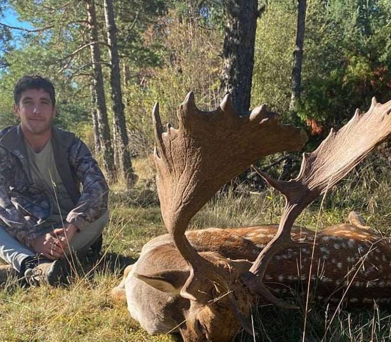 Rececho de Gamo - Caza Mayor en Espa�a: Monter�as y Recechos | Nature GV Hunt