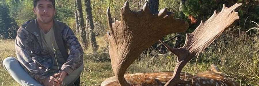 Rececho de Gamo - Caza Mayor en Espa�a: Monter�as y Recechos | Nature GV Hunt