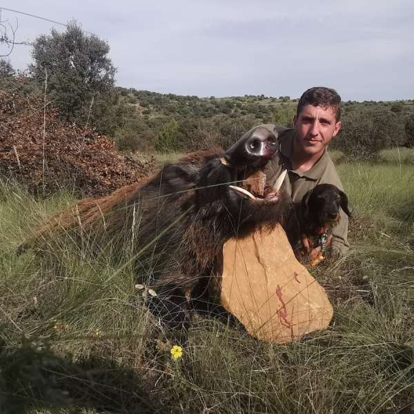 Rececho de Jabal��Wild Boar Stalking - Caza Mayor en Espa�a: Monter�as y Recechos | Nature GV Hunt�Big Game Hunting in Spain: Hunting and Stalking | Nature GV Hunt