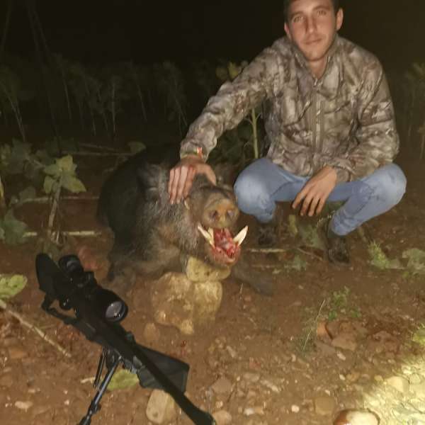 Rececho de Jabal��Wild Boar Stalking - Caza Mayor en Espa�a: Monter�as y Recechos | Nature GV Hunt�Big Game Hunting in Spain: Hunting and Stalking | Nature GV Hunt