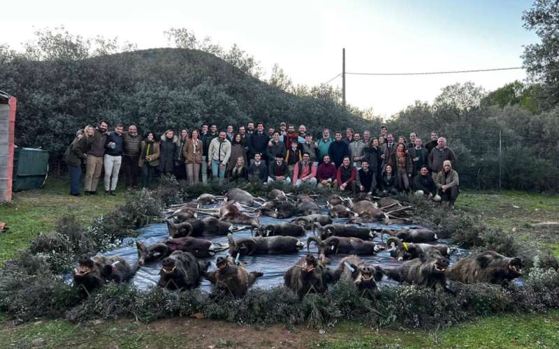 Monter�as - Caza Mayor en Espa�a: Monter�as y Recechos | Nature GV Hunt