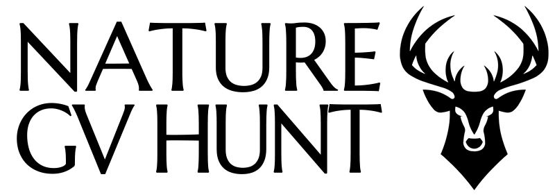 Caza Mayor en Espa�a: Monter�as y Recechos | Nature GV Hunt�Big Game Hunting in Spain: Hunting and Stalking | Nature GV Hunt